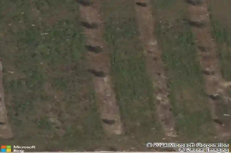 11532 n us highway 301, oxford,  FL 34484