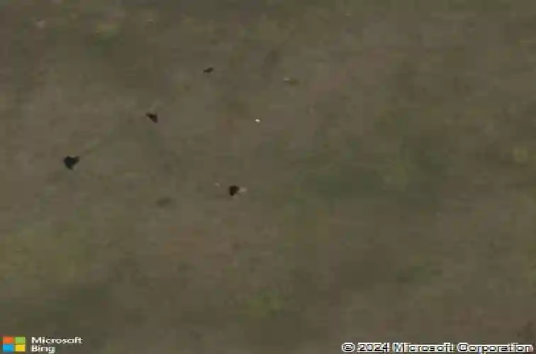 1679 e county road 462, wildwood,  FL 34785