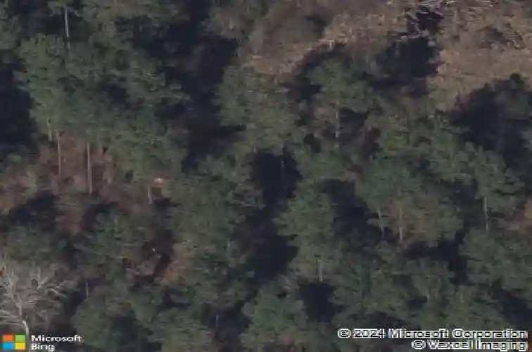  splendora,  TX 77372