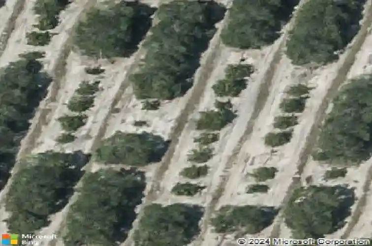  auburndale,  FL 33823