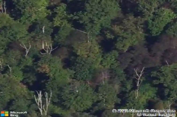  monroe township,  NJ 08831