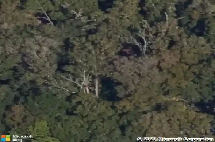 2945 county road 238, wildwood,  FL 34785