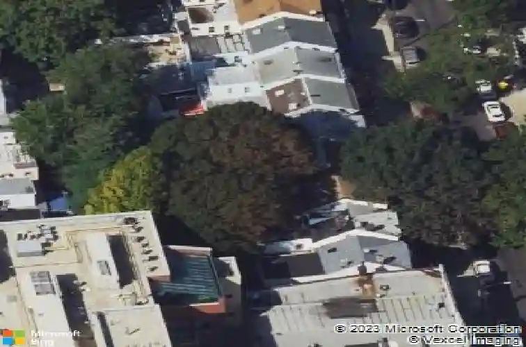  brooklyn,  NY 11207