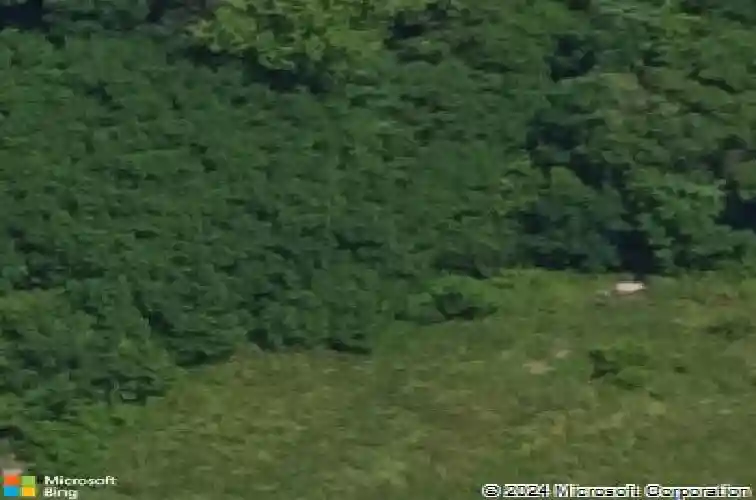 6101 laura ave, east saint louis,  IL 62203