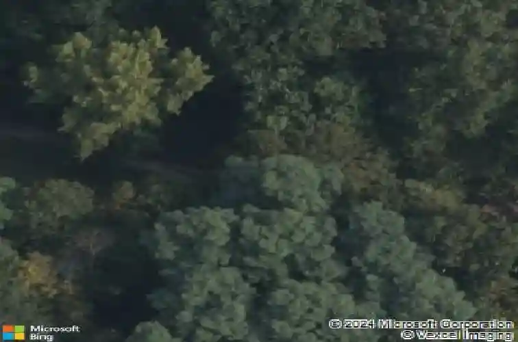 1061 muriel peterson dr, duanesburg,  NY 12056