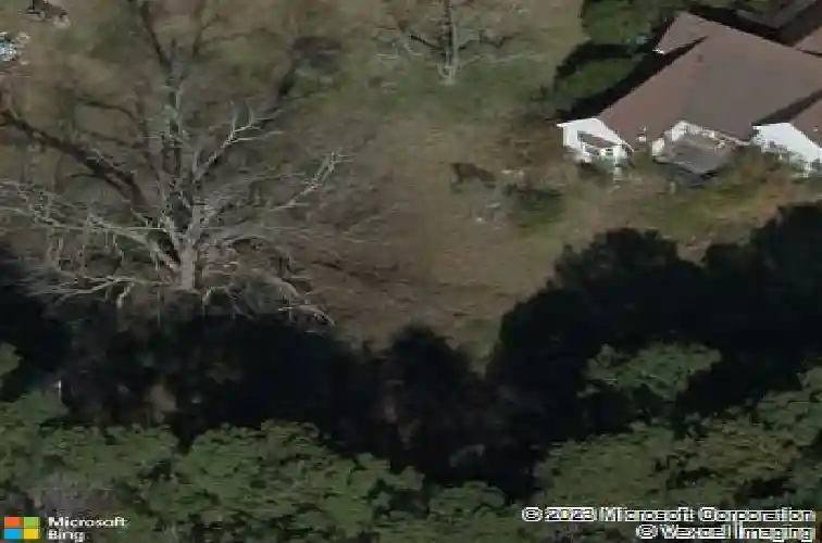 2909 kennerly rd, irmo,  SC 29063