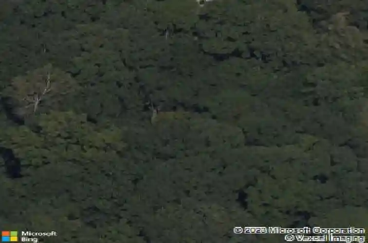 2605 ne 78th st, kansas city,  MO 64119