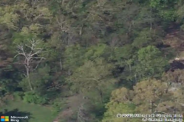  knoxville,  TN 37921