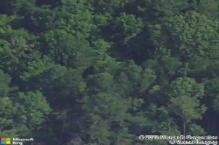 1228 old rd, chapin,  SC 29036