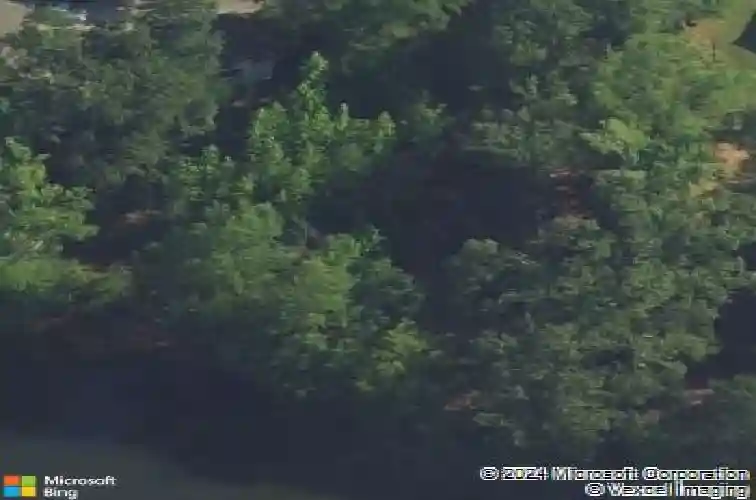 1213 forrest shealy rd, chapin,  SC 29036