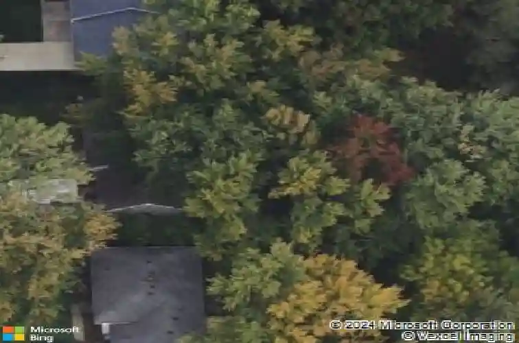 1445 andrea dr, brunswick,  OH 44212