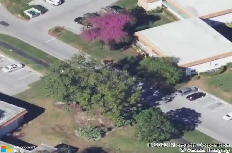 1225 nw 21st st
                                ,Unit 3304, stuart,  FL 34994