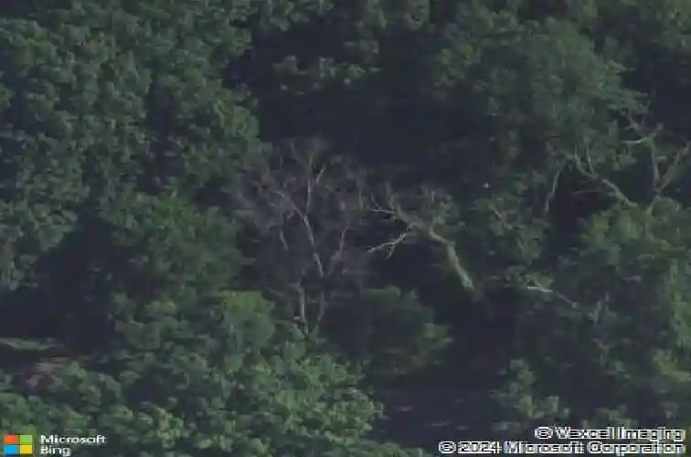 6610 berry rd se, cedar rapids,  IA 52403