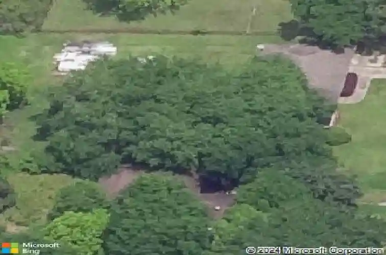 895 morning glory dr, bridge city,  TX 77611