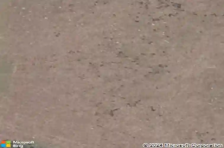 3276 county road 216, oxford,  FL 34484