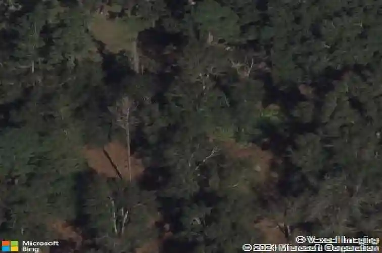 3554 county road 216, oxford,  FL 34484