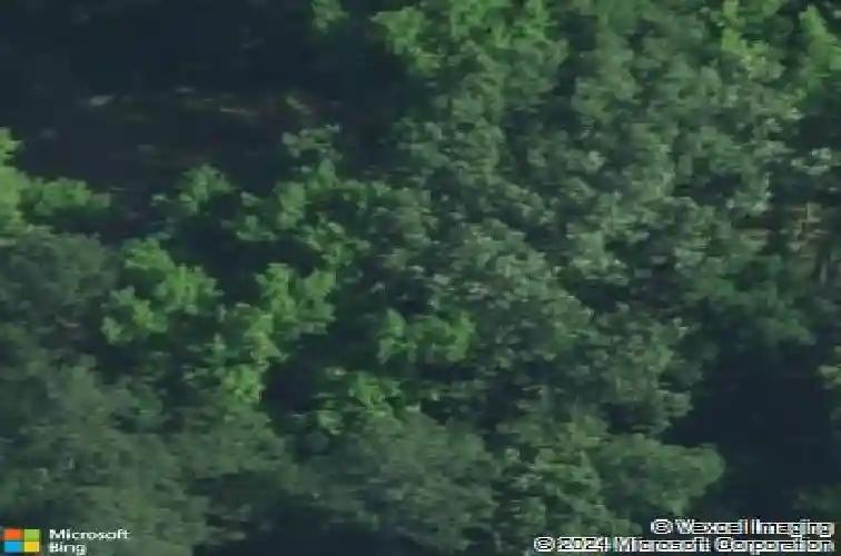 240 arrowwood rd, columbia,  SC 29210