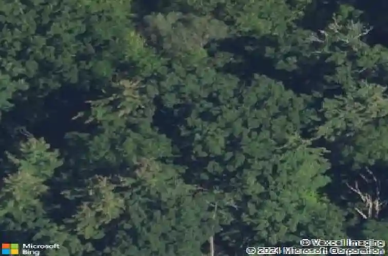 2239 van antwerp rd, schenectady,  NY 12309