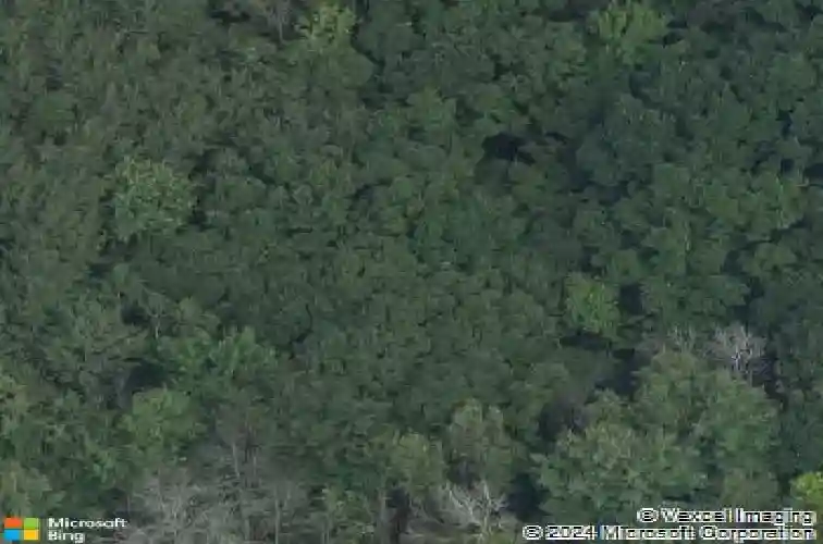 1310 mitchell ave, schenectady,  NY 12309