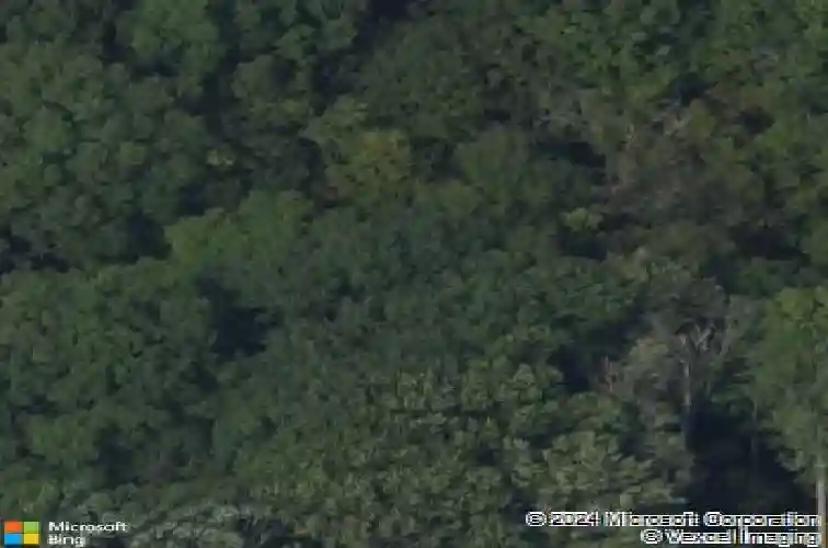 558 quackenbush rd, schenectady,  NY 12306