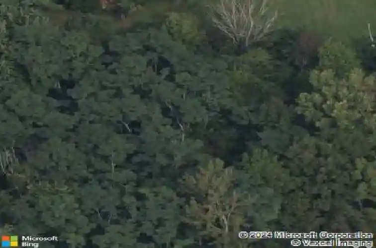 1741 scotch ridge rd, duanesburg,  NY 12056