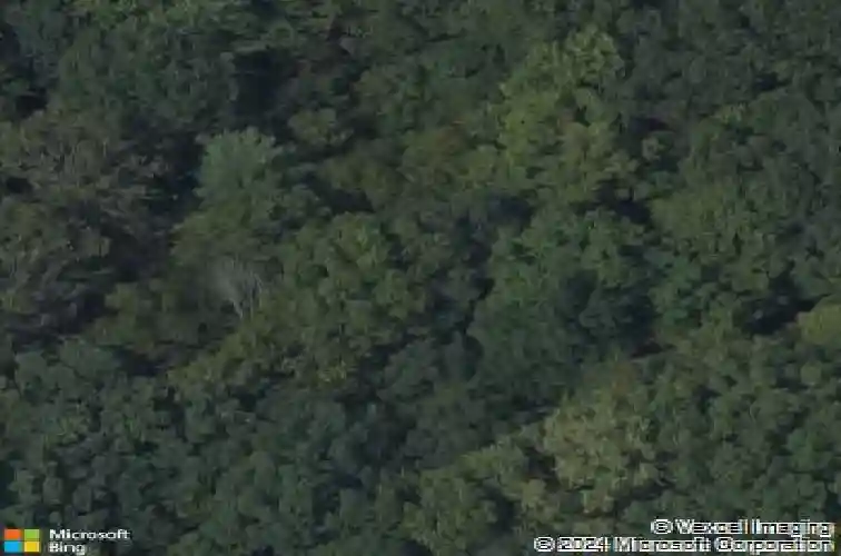 827 rector rd, schenectady,  NY 12302