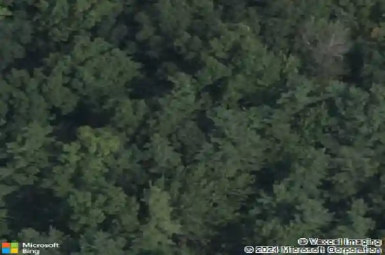 2185 hoffman ln, schenectady,  NY 12306