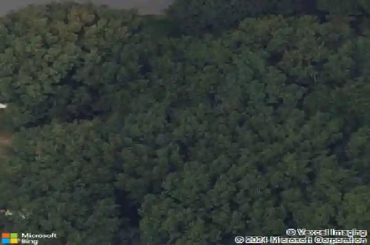 158 willow ln, schenectady,  NY 12302