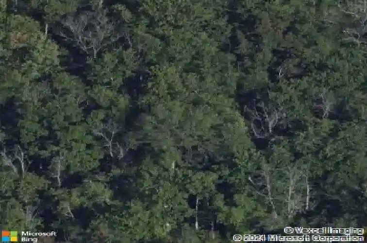 44 bancker ave, schenectady,  NY 12302