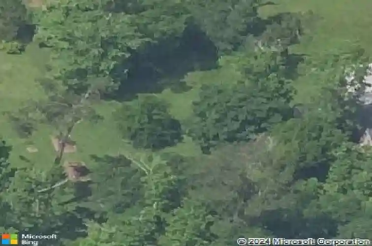 9861 highway 87 n, orange,  TX 77632