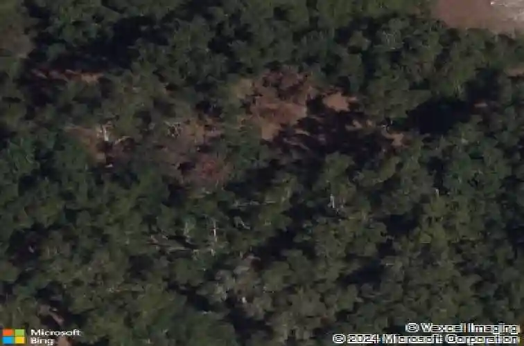 5393 county road 144, wildwood,  FL 34785