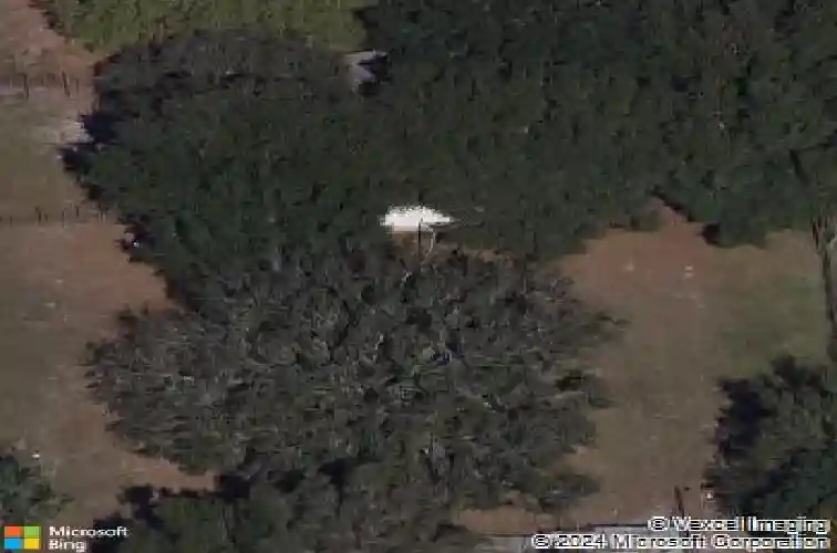 4868 ne 90th plz, wildwood,  FL 34785