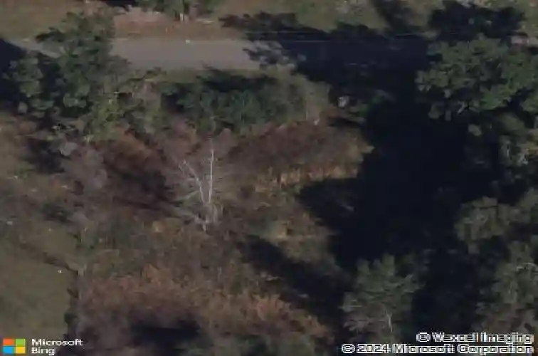 4609 county road 156, wildwood,  FL 34785