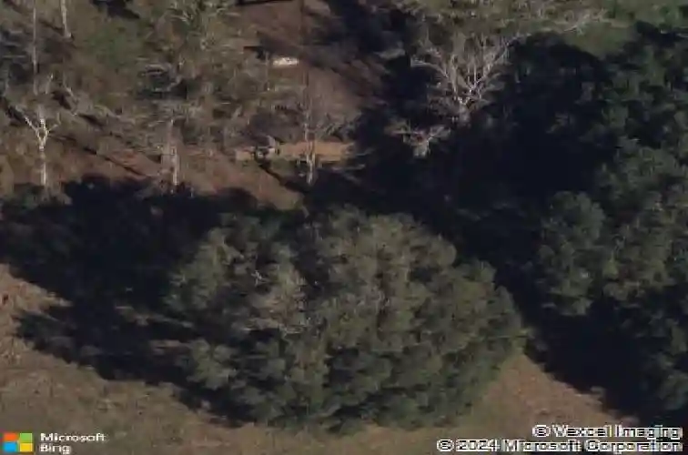 4707 county road 156, wildwood,  FL 34785