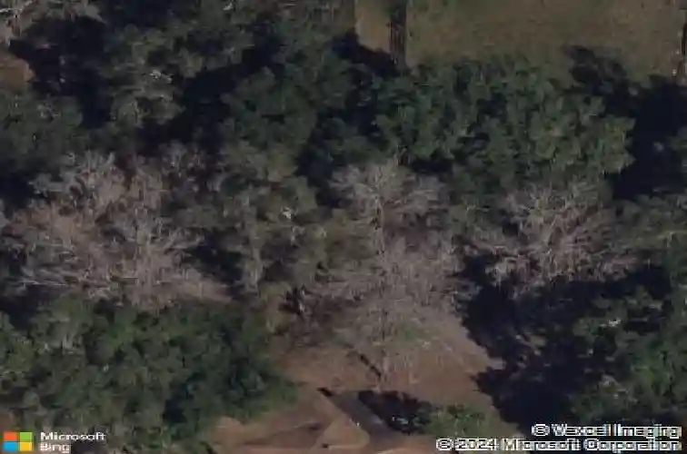 4845 ne 49th blvd, wildwood,  FL 34785