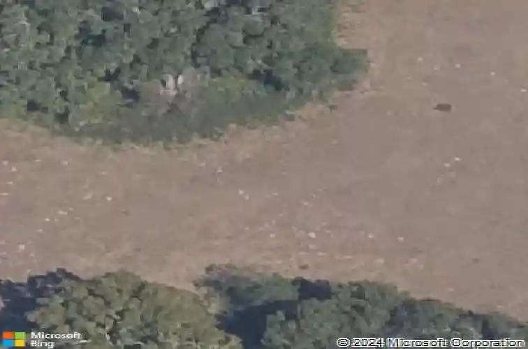 10561 ne 104th cir, oxford,  FL 34484