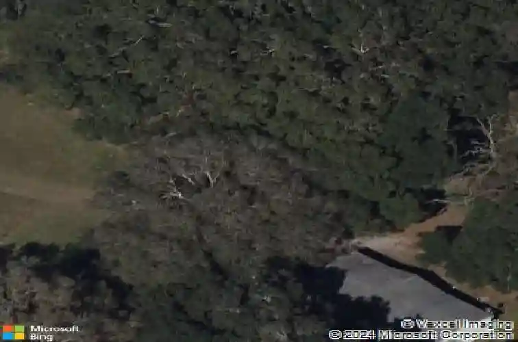 5780 cr 569, center hill,  FL 33514