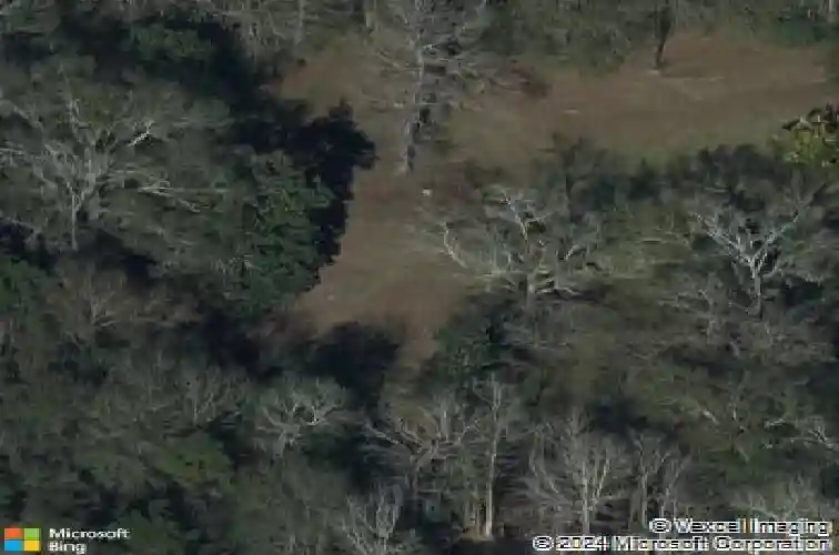 2945 call st, vidor,  TX 77662