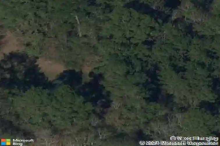 4700 n tram rd, vidor,  TX 77662