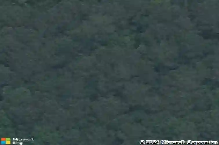 1284 bobcat cir, orange,  TX 77632