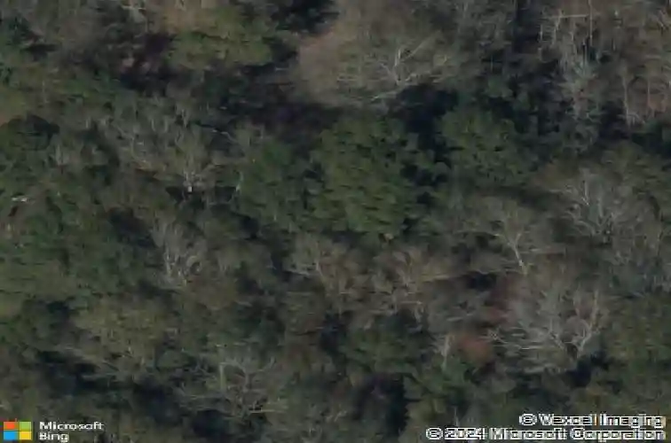 620 easterwood st, vidor,  TX 77662