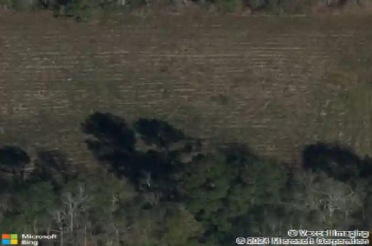 3255 ponderosa st, vidor,  TX 77662