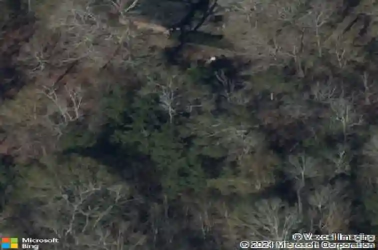 2506 ashy st, vidor,  TX 77662