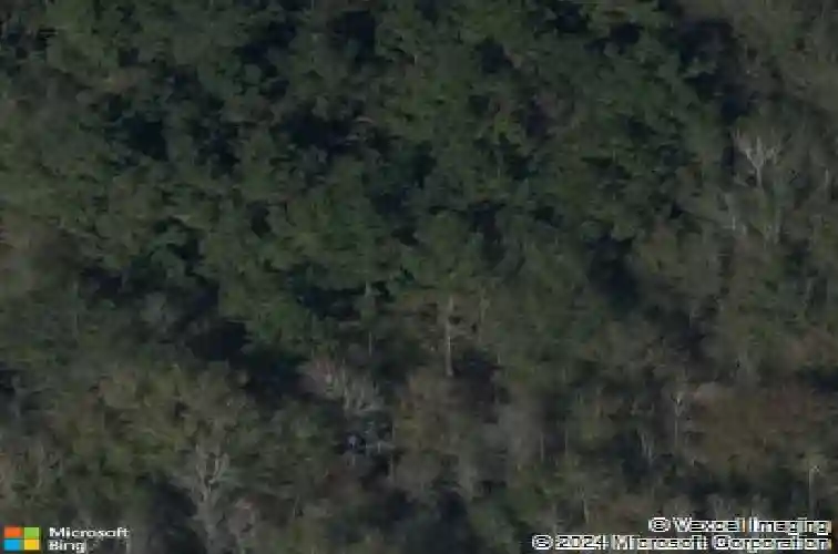 16024 ih 10, vidor,  TX 77662