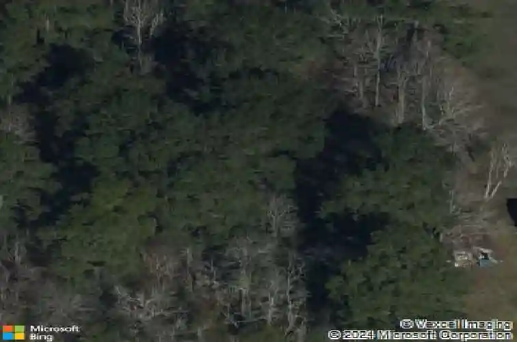 275 chinese elm st, vidor,  TX 77662