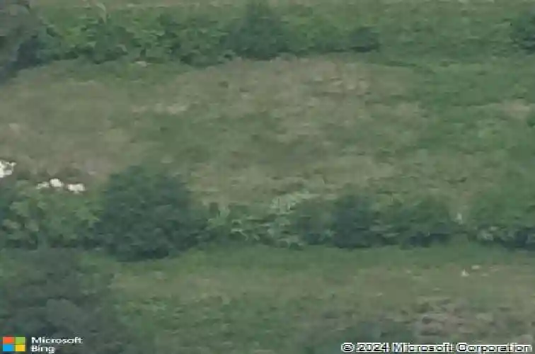 16458 highway 62 s, orange,  TX 77630