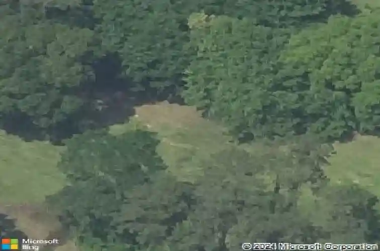 3042 parish cemetery rd, orange,  TX 77632