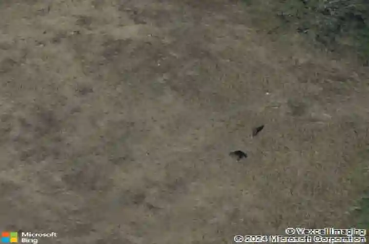 3335 lakeview cutoff st, vidor,  TX 77662