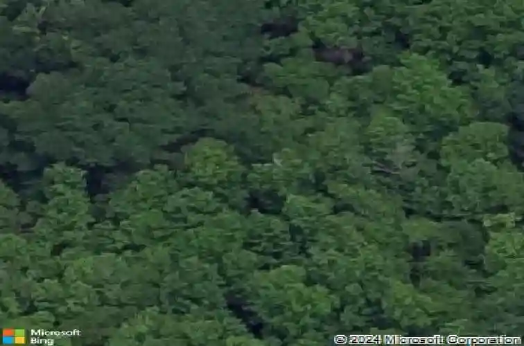 8907 tulane rd, orange,  TX 77630