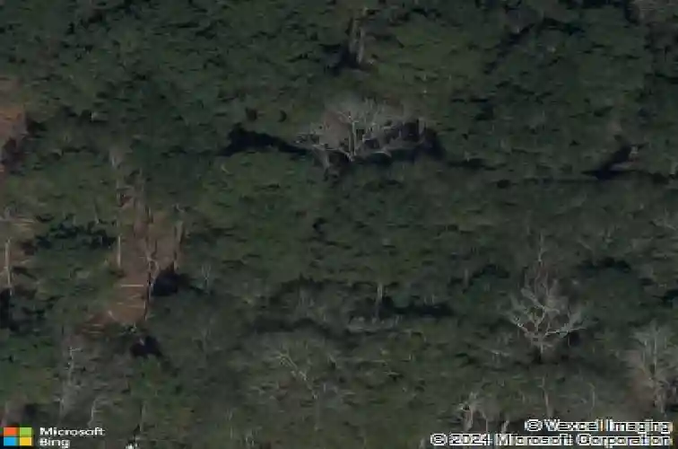 1325 s main st, vidor,  TX 77662